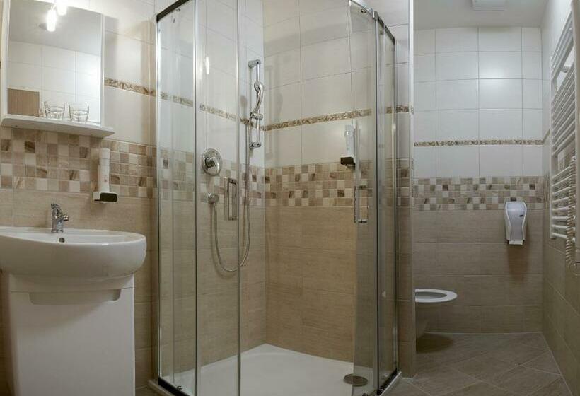 スタンダードルーム, Spa Hotel Millenium Karlovy Vary