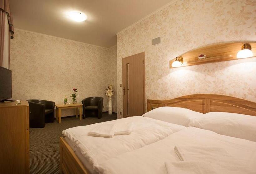 スタンダードルーム, Spa Hotel Millenium Karlovy Vary