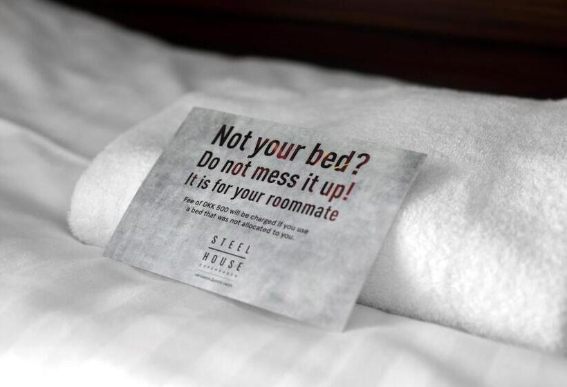 غرفة قياسية, Steel House Copenhagen