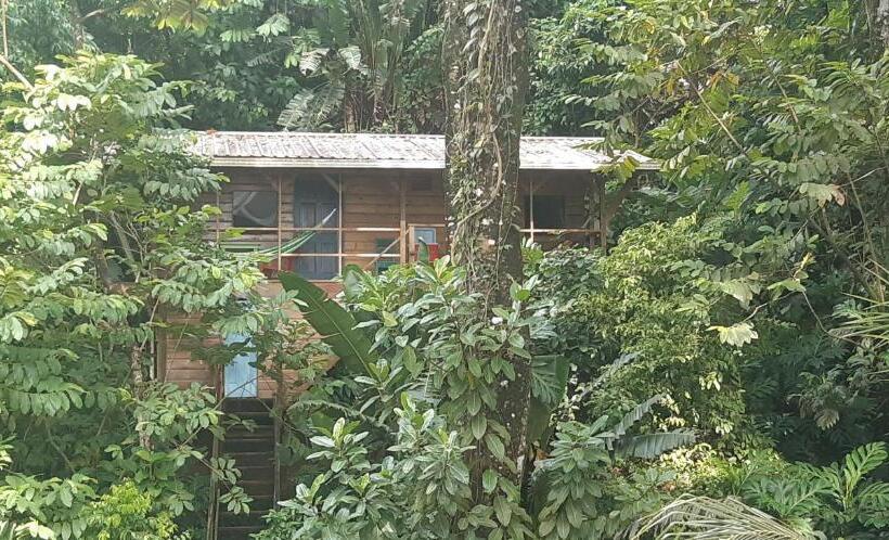 패밀리 스위트, Carmen's Place