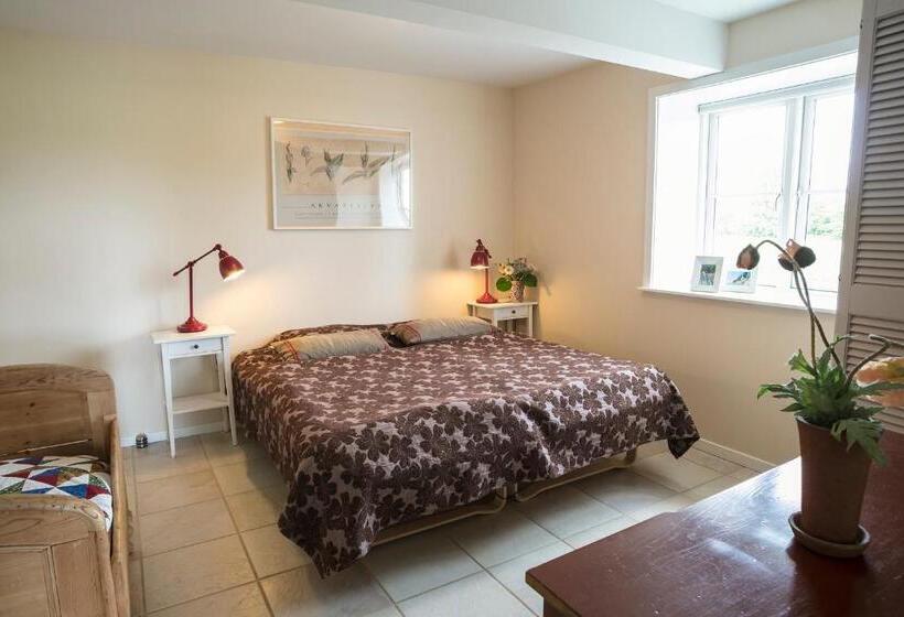 جناح, Tiendegaarden Møns Klint