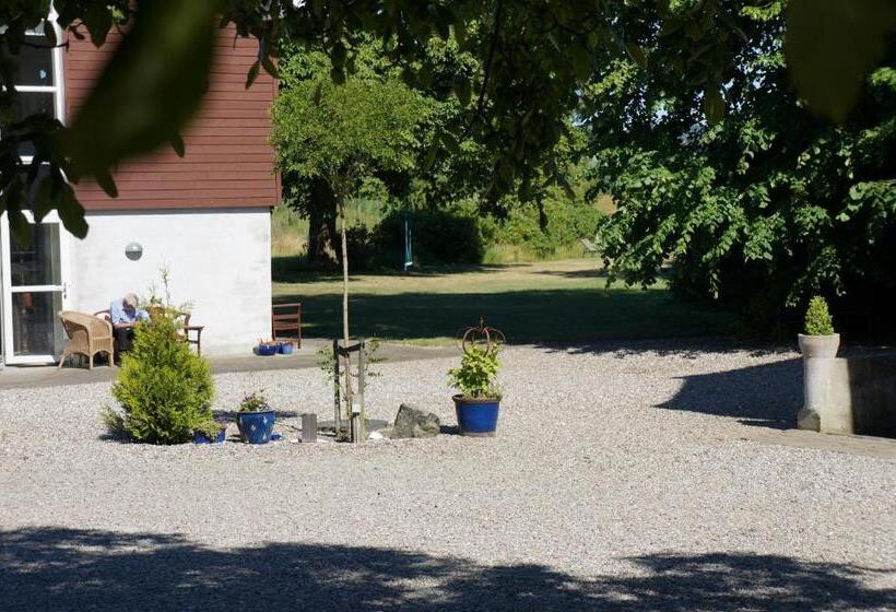 جناح, Tiendegaarden Møns Klint