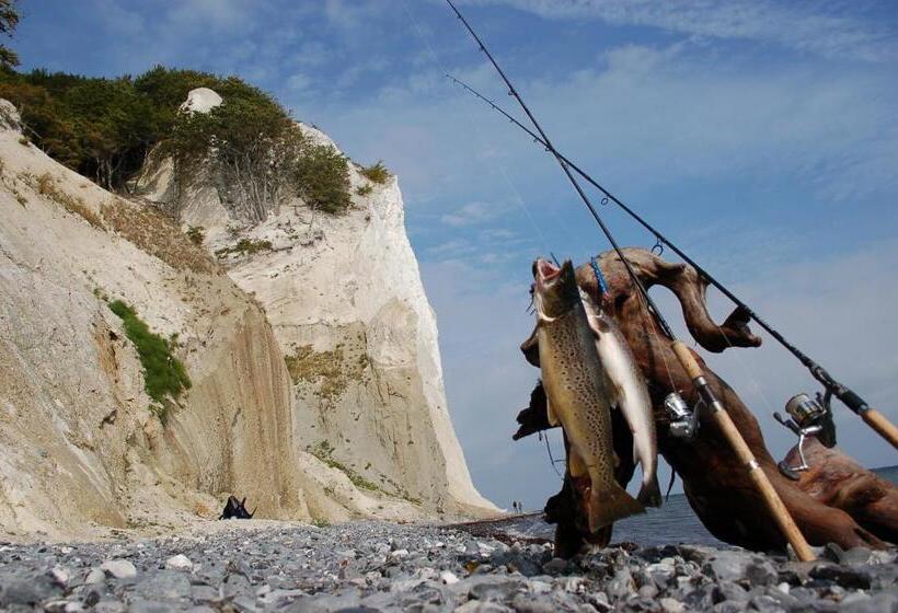 جناح, Tiendegaarden Møns Klint