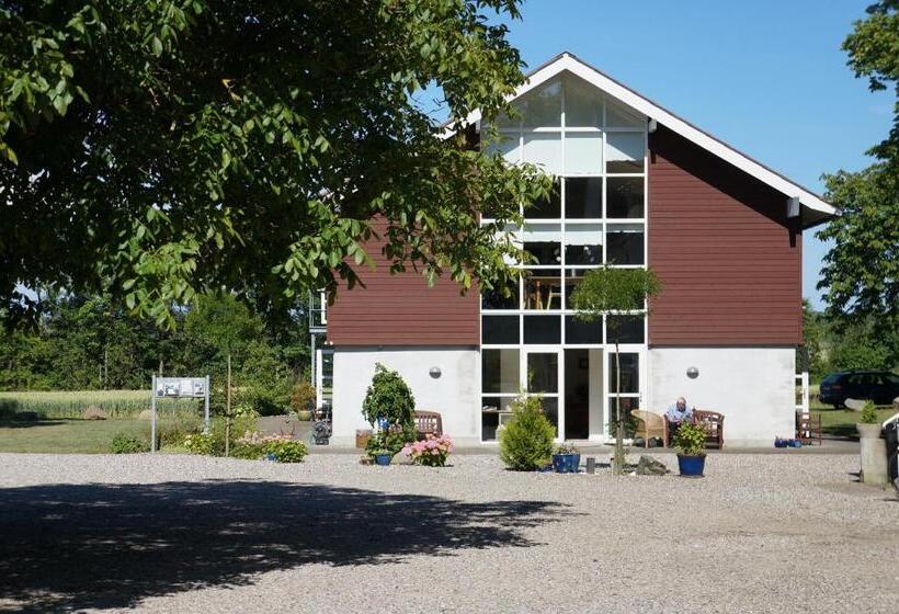 جناح, Tiendegaarden Møns Klint