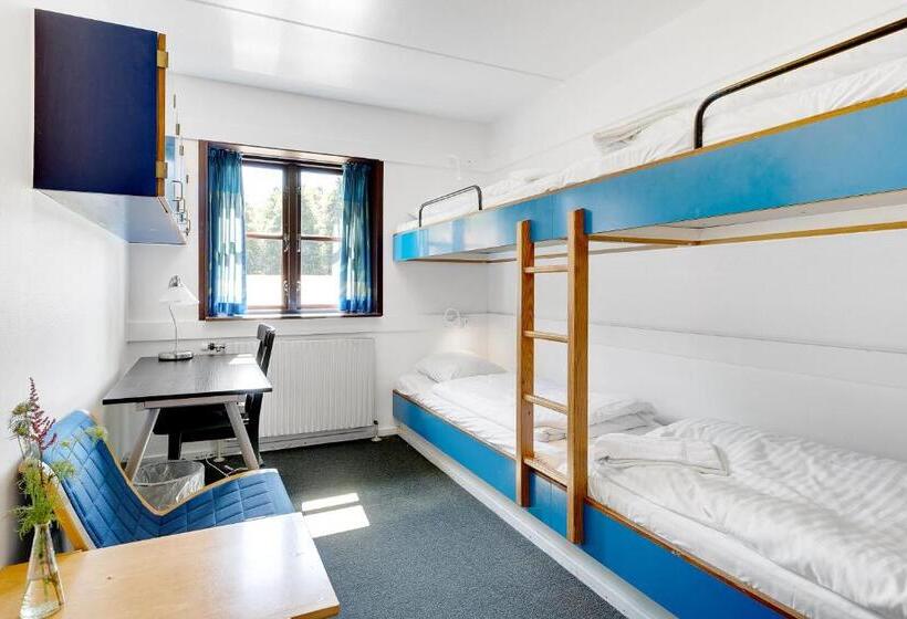 Четырехместный Номер Стандарт, Danhostel Hillerød
