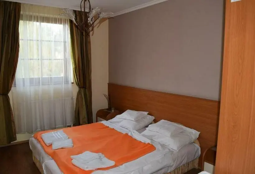 Standard-huone, Natural Panzió