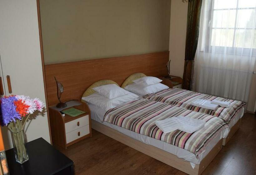 スタンダードルーム, Natural Panzió