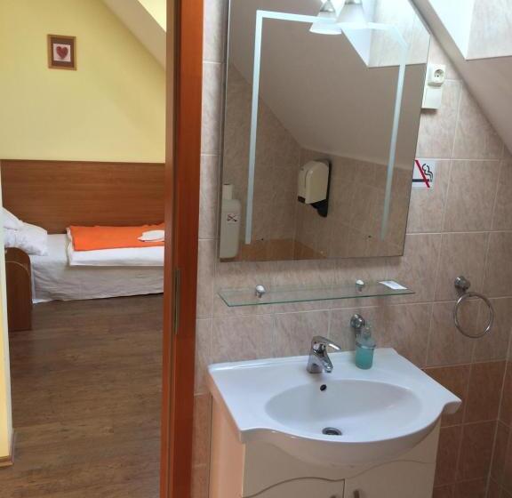 スタンダードシングルルーム, Natural Panzió