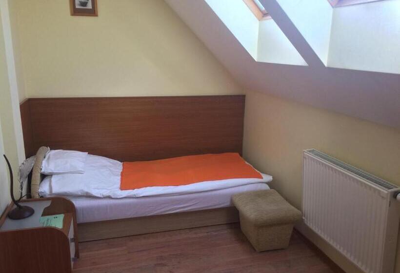 スタンダードシングルルーム, Natural Panzió