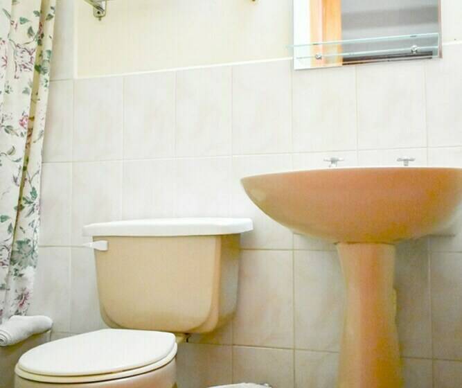 Standaard Éénpersoonskamer, Plaza Colon