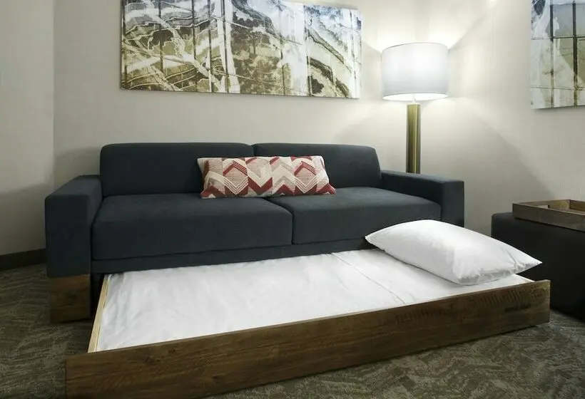Sviitti, Springhill Suites By Marriott Kansas City Lenexa/city Center