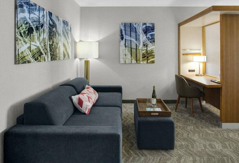 스위트, Springhill Suites By Marriott Kansas City Lenexa/city Center