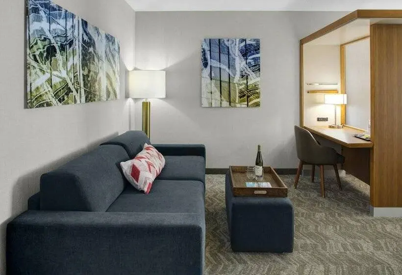 Sviitti, Springhill Suites By Marriott Kansas City Lenexa/city Center