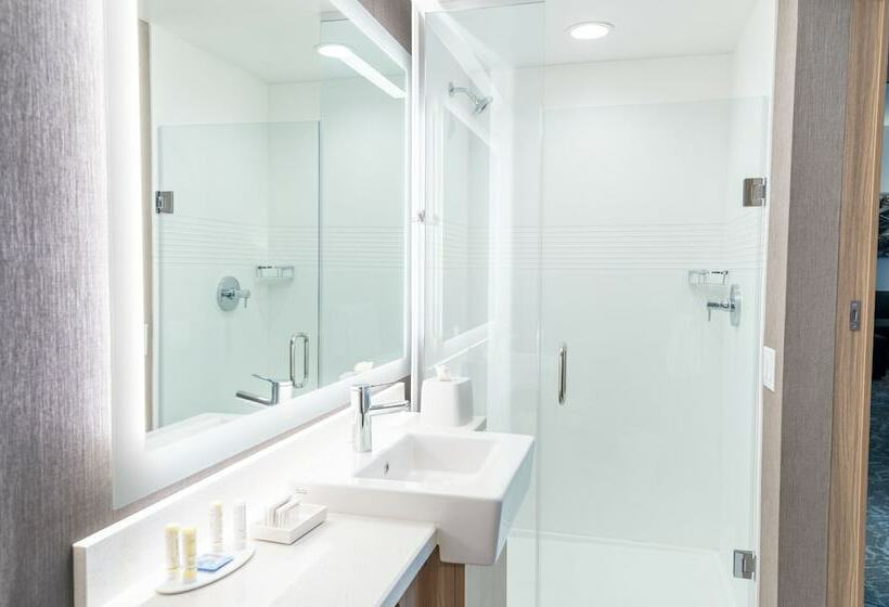 스위트, Springhill Suites By Marriott Kansas City Lenexa/city Center