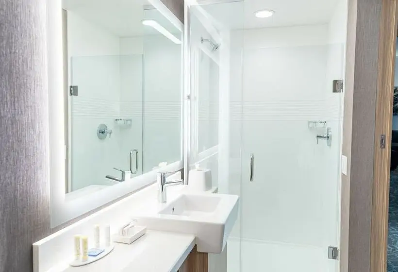 Sviitti, Springhill Suites By Marriott Kansas City Lenexa/city Center