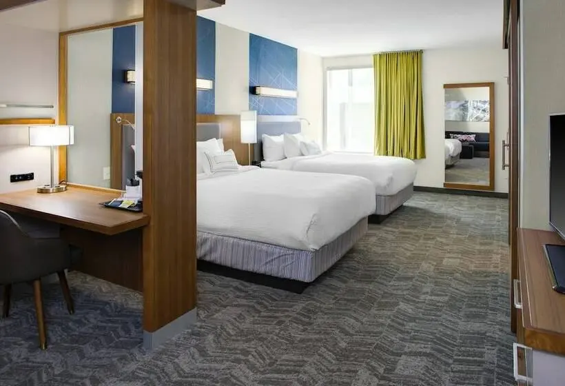 Sviitti, Springhill Suites By Marriott Kansas City Lenexa/city Center