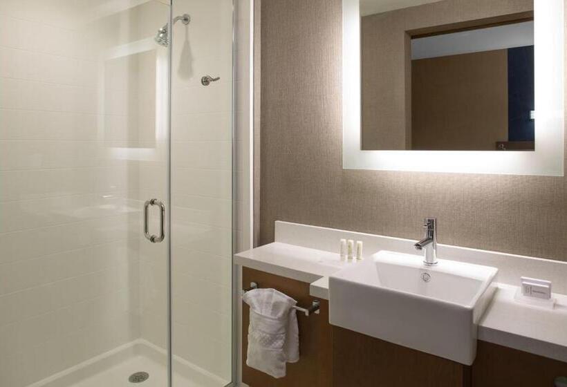 스위트 킹사이즈 침대, Springhill Suites By Marriott Kansas City Lenexa/city Center