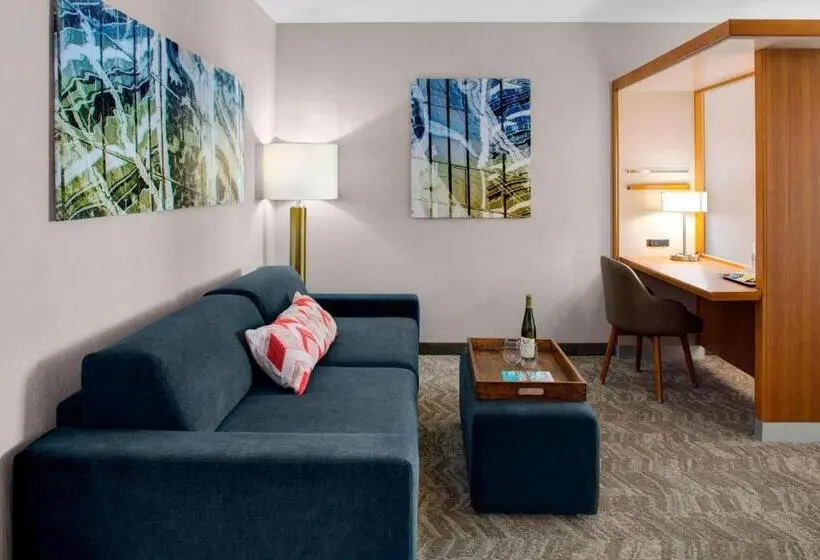Sviitti King-vuode, Springhill Suites By Marriott Kansas City Lenexa/city Center