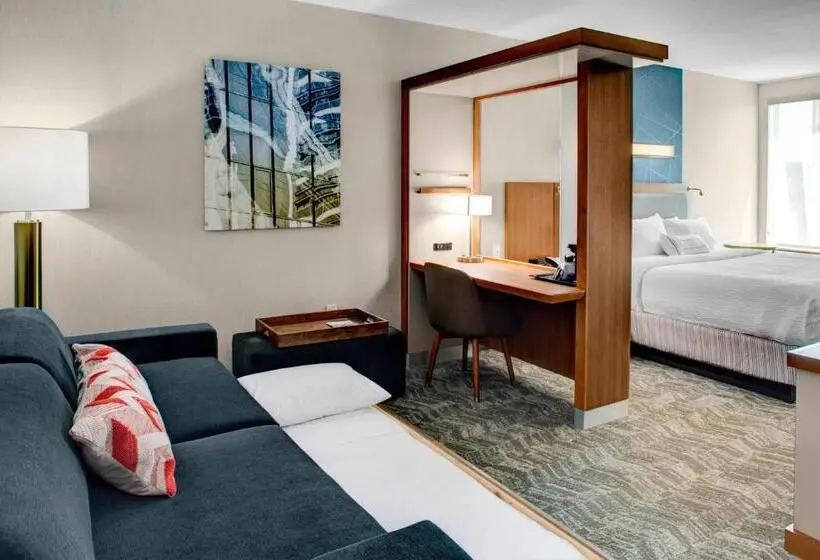 Sviitti King-vuode, Springhill Suites By Marriott Kansas City Lenexa/city Center