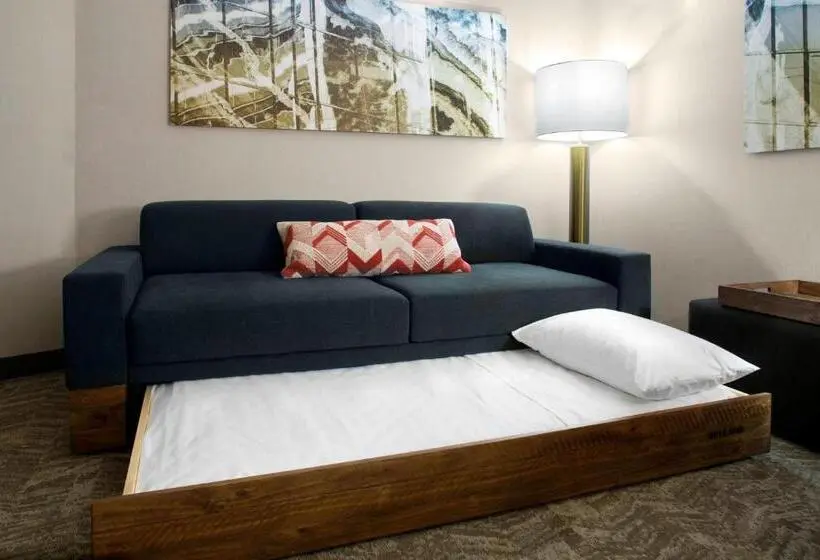 Sviitti, Springhill Suites By Marriott Kansas City Lenexa/city Center