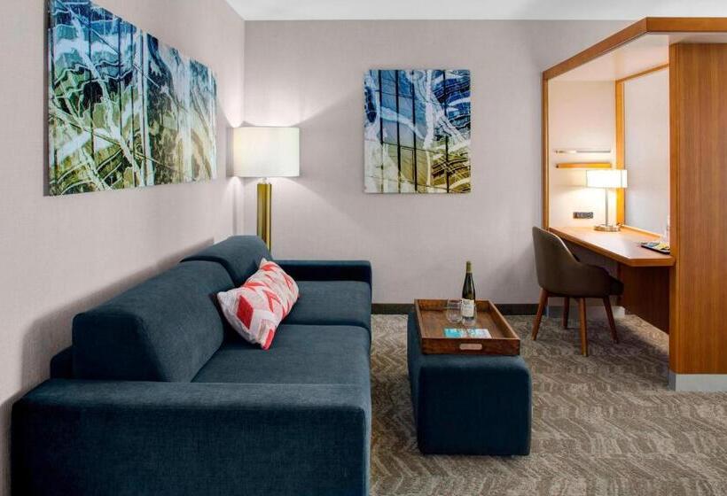 스위트, Springhill Suites By Marriott Kansas City Lenexa/city Center