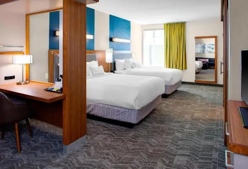 Sviitti, Springhill Suites By Marriott Kansas City Lenexa/city Center