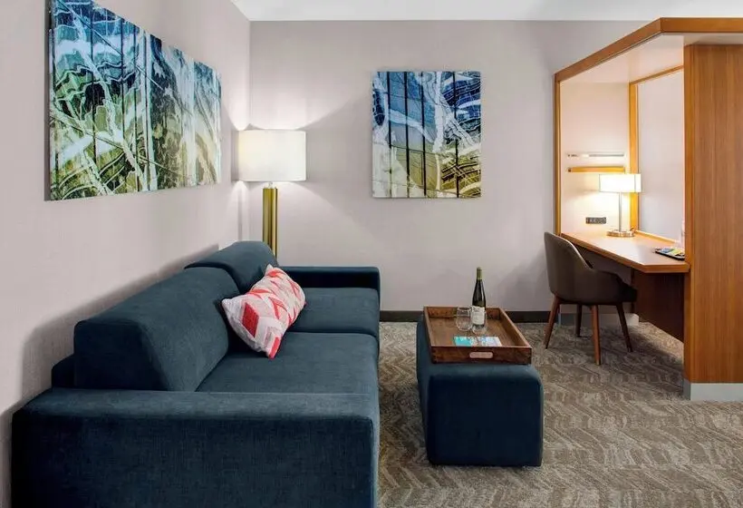 Sviitti, Springhill Suites By Marriott Kansas City Lenexa/city Center