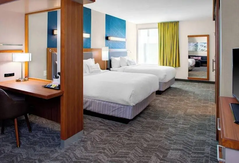 Sviitti, Springhill Suites By Marriott Kansas City Lenexa/city Center