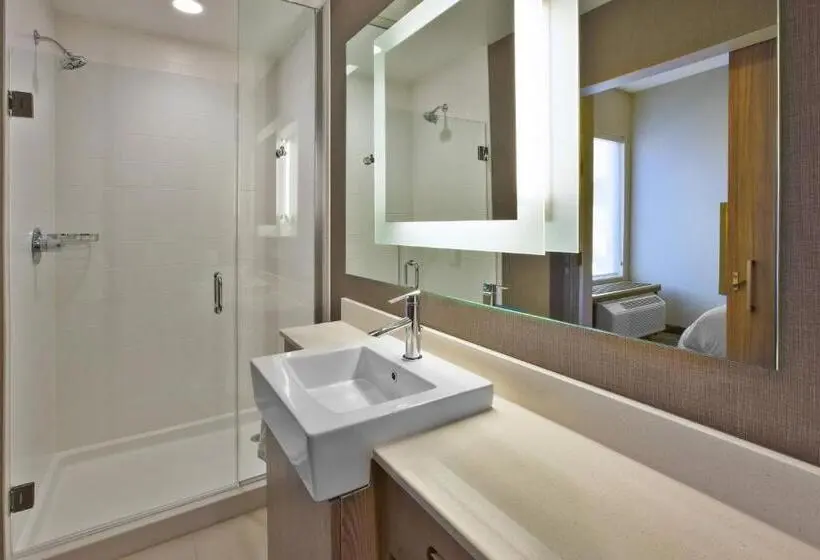 Sviitti King-vuode, Springhill Suites By Marriott Pittsburgh Butler/centre City