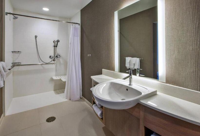 스위트 킹사이즈 침대, Springhill Suites By Marriott Pittsburgh Butler/centre City