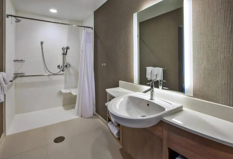Sviitti King-vuode, Springhill Suites By Marriott Pittsburgh Butler/centre City