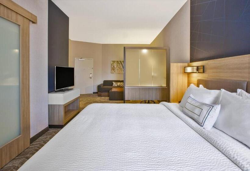 스위트 킹사이즈 침대, Springhill Suites By Marriott Pittsburgh Butler/centre City