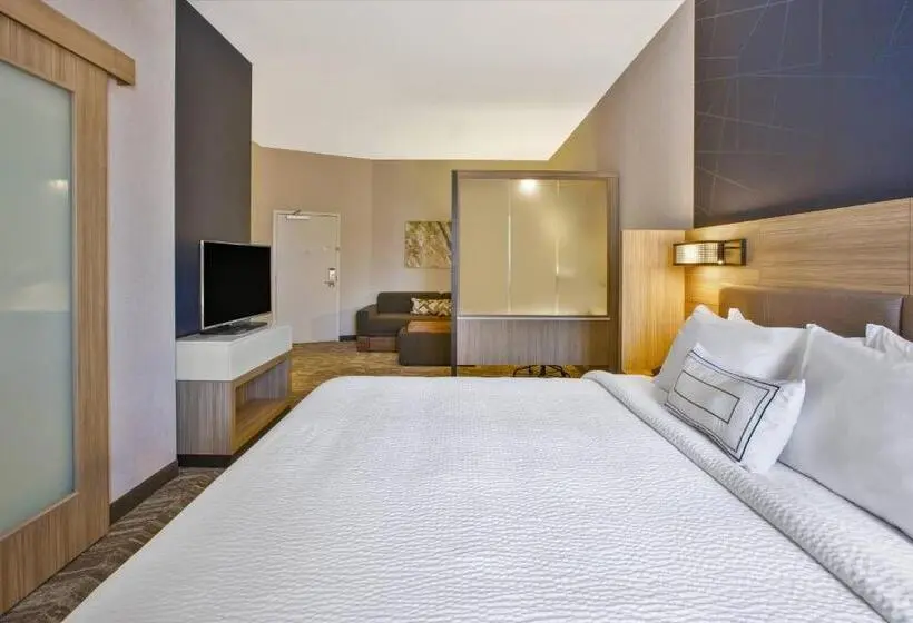 Sviitti King-vuode, Springhill Suites By Marriott Pittsburgh Butler/centre City