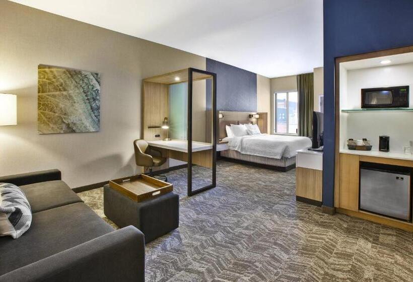 스위트 킹사이즈 침대, Springhill Suites By Marriott Pittsburgh Butler/centre City