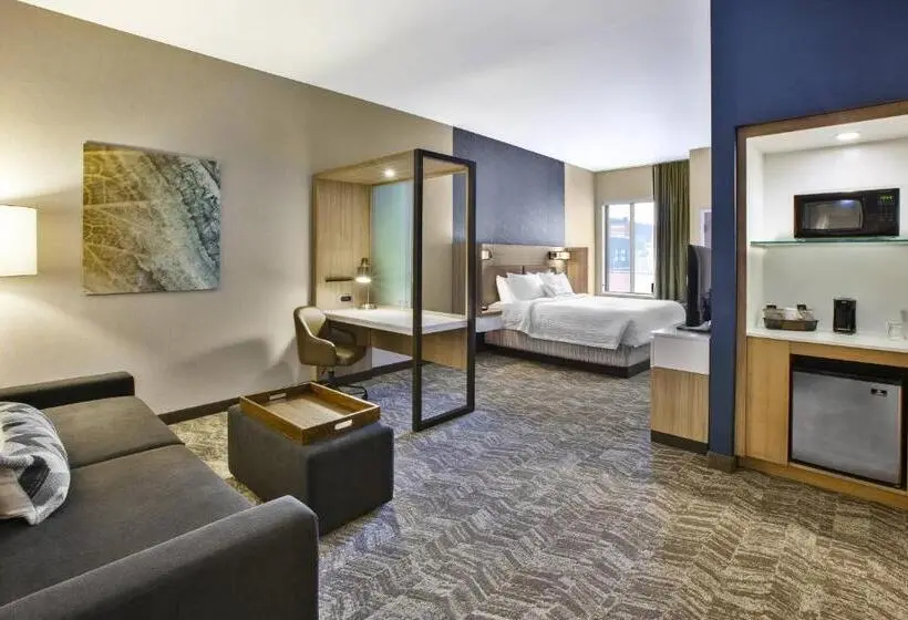 Sviitti King-vuode, Springhill Suites By Marriott Pittsburgh Butler/centre City