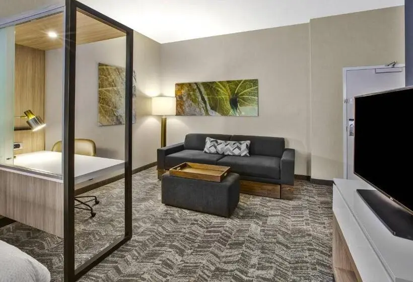 Sviitti King-vuode, Springhill Suites By Marriott Pittsburgh Butler/centre City