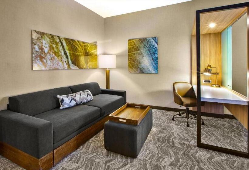 스위트 킹사이즈 침대, Springhill Suites By Marriott Pittsburgh Butler/centre City