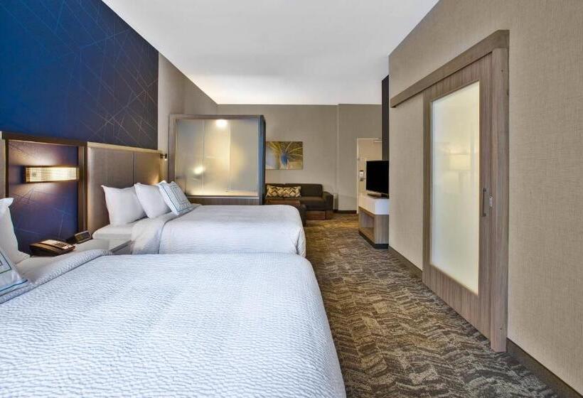 디럭스 스위트, Springhill Suites By Marriott Pittsburgh Butler/centre City