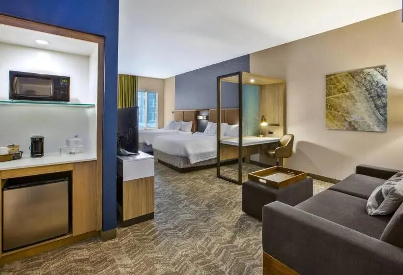 Deluxe-sviitti, Springhill Suites By Marriott Pittsburgh Butler/centre City