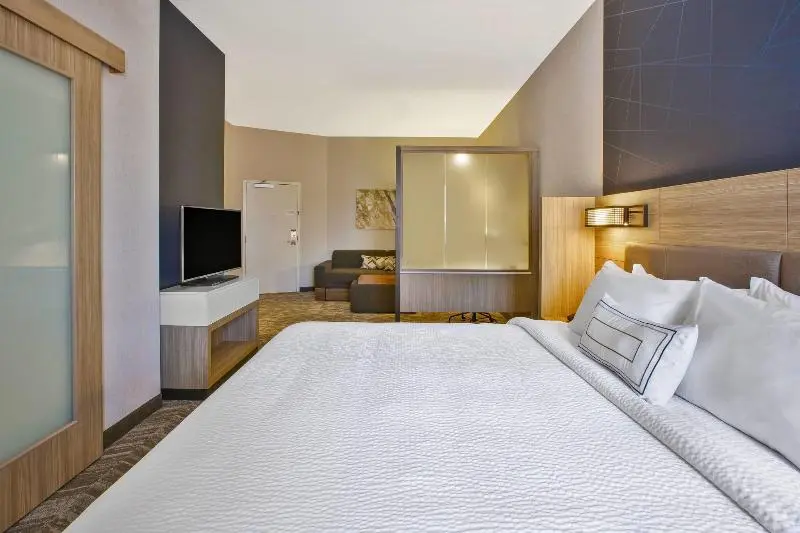 Sviitti King-vuode, Springhill Suites By Marriott Pittsburgh Butler/centre City