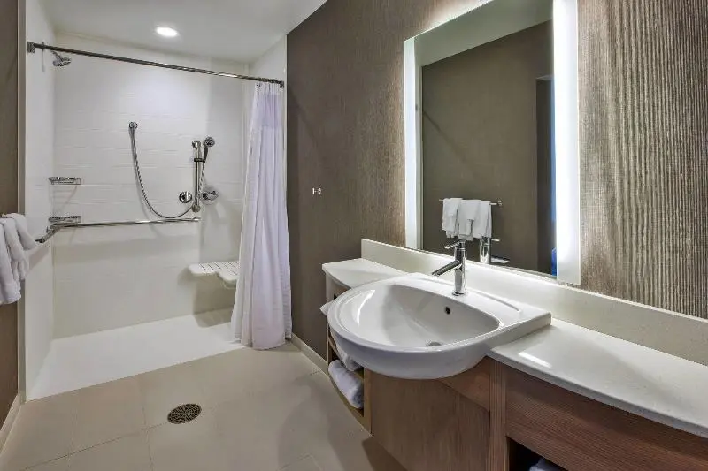 Sviitti King-vuode, Springhill Suites By Marriott Pittsburgh Butler/centre City