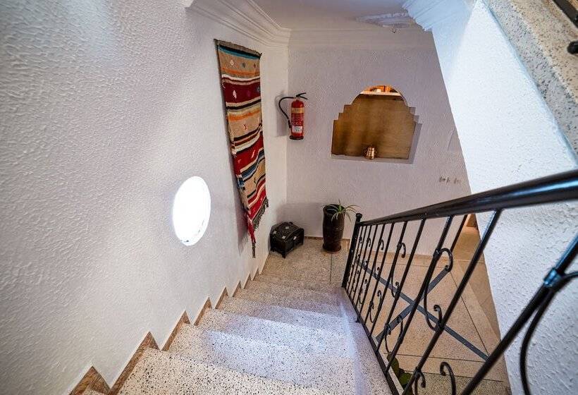 Номер Стандарт, Original Surf Morocco