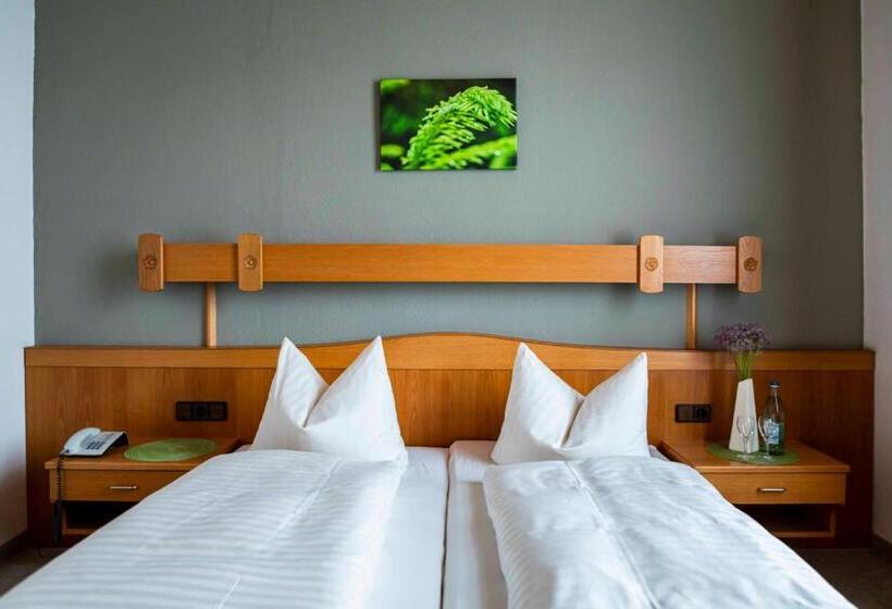 Camera Standard, Zur Post