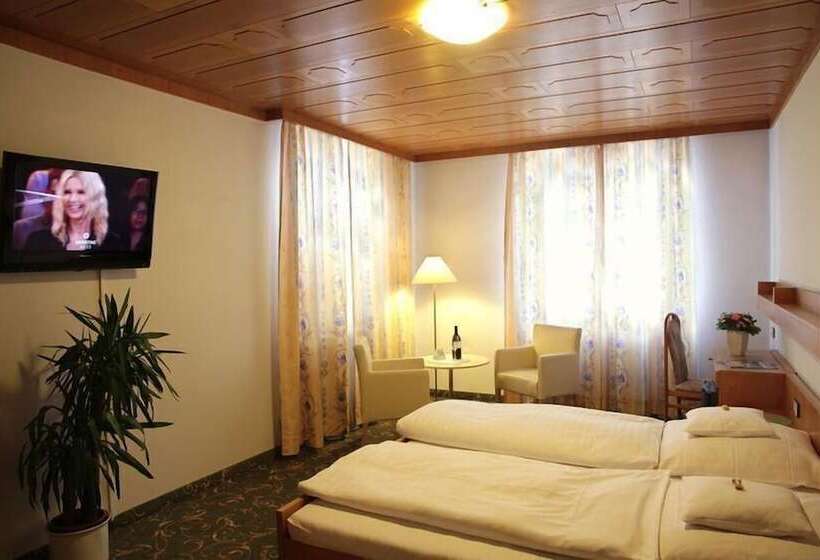 Camera Standard, Zur Post