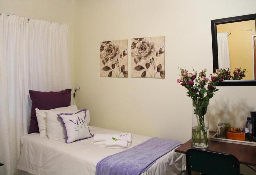 스탠다드 룸, Memra Guest House