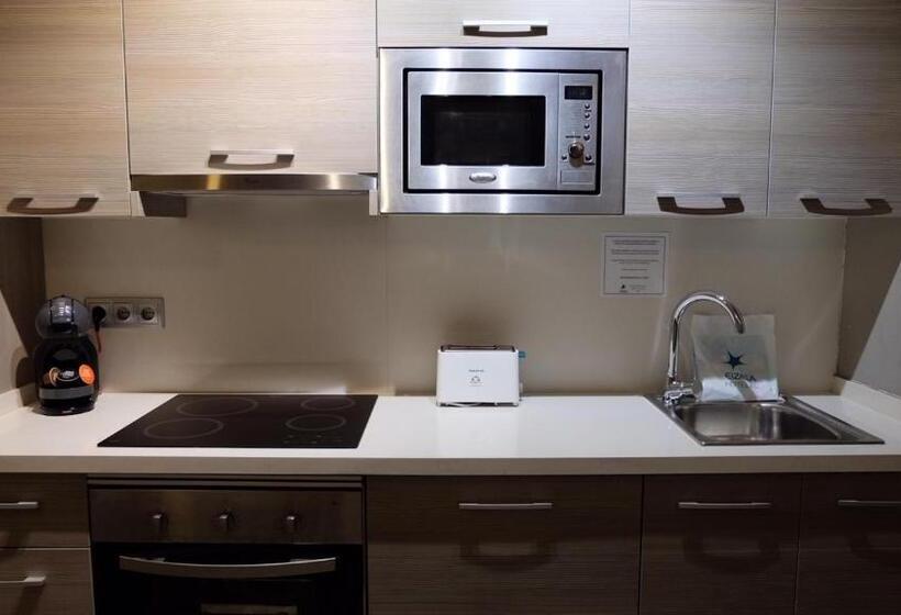 آپارتمان 1 خوابه, Apartamentos Real Lleida