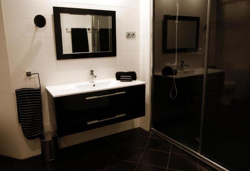 آپارتمان 1 خوابه, Apartamentos Real Lleida