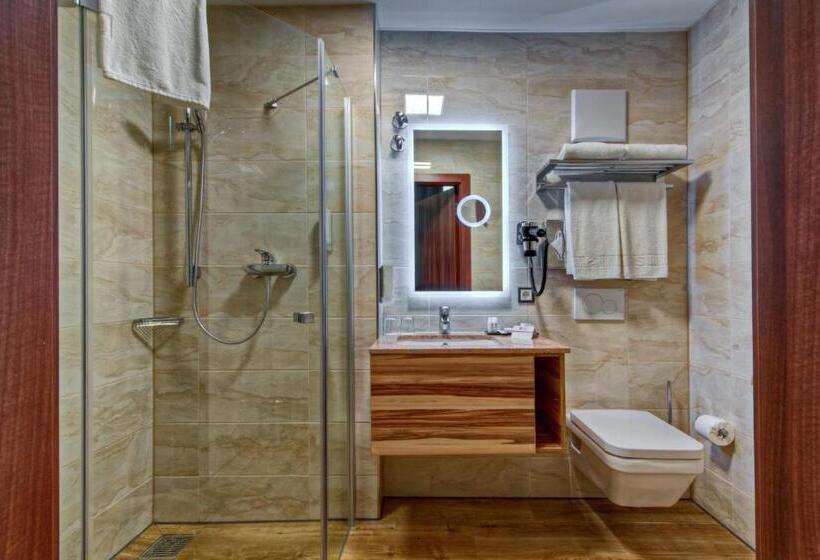 חדר סופריור, Best Western Plus Hotel Füssen