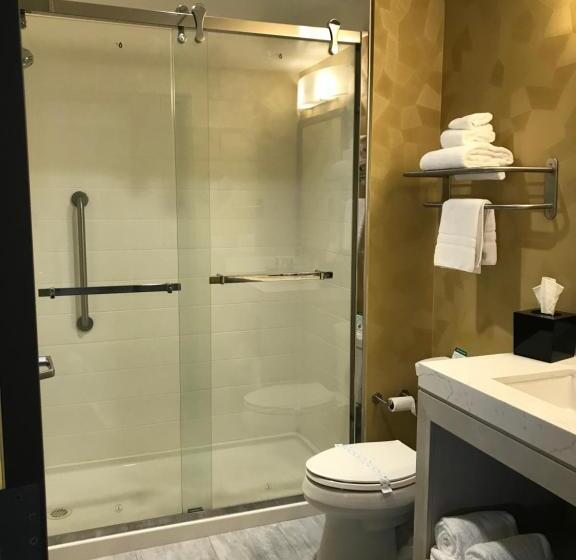 اتاق استاندارد با تخت بزرگ, Best Western Premier Historic Travelers Hotel Alamo/riverwalk