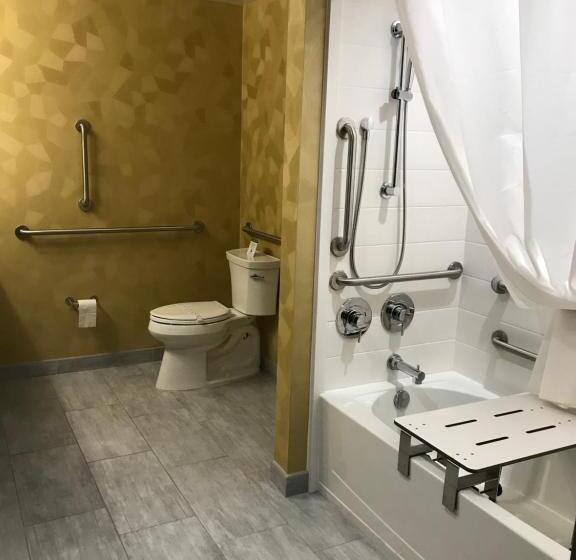 اتاق استاندارد با تخت بزرگ برای معلولان, Best Western Premier Historic Travelers Hotel Alamo/riverwalk